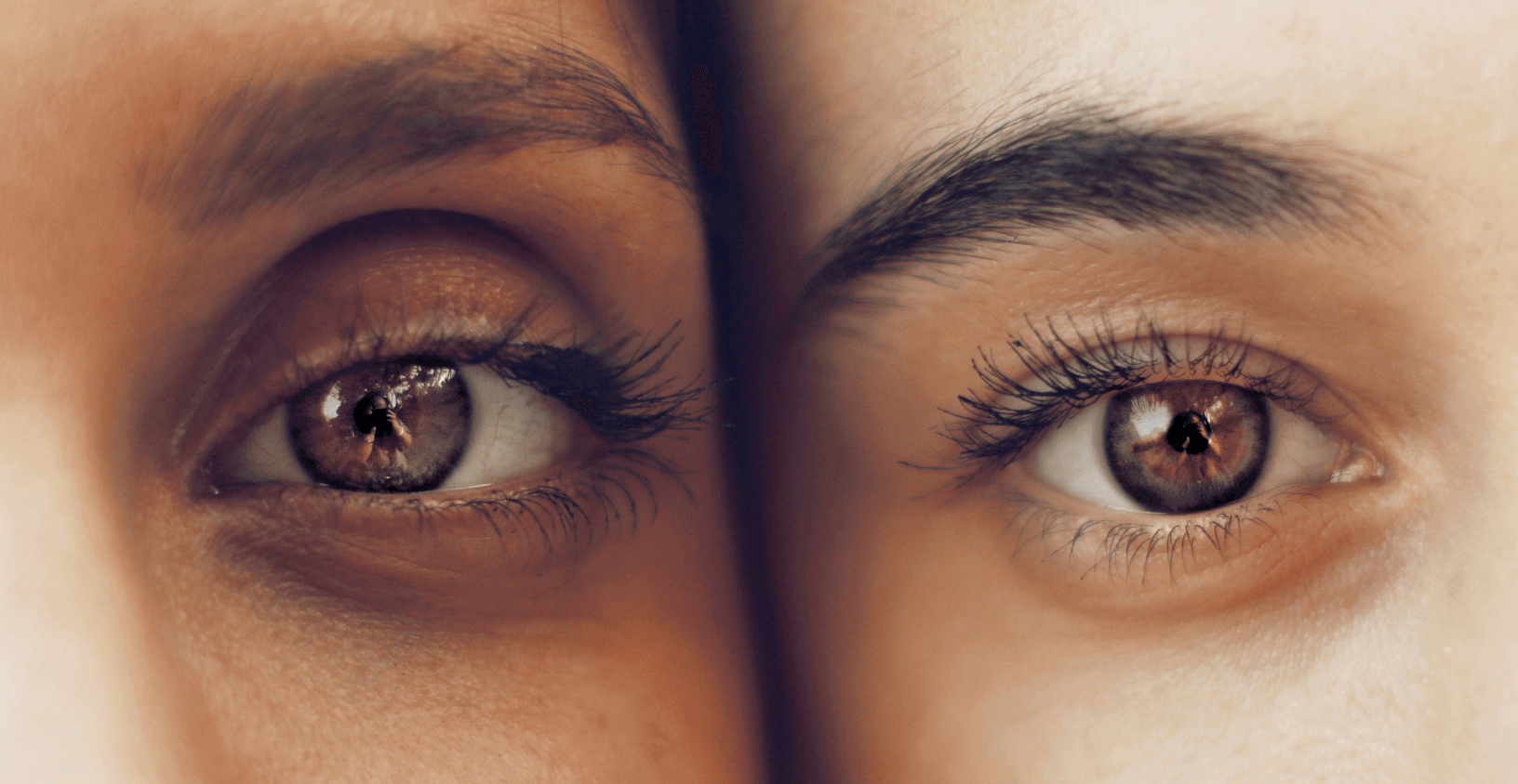 how the eye works